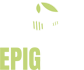 epigsoin