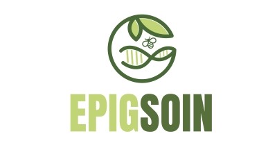 EPIGSOIN